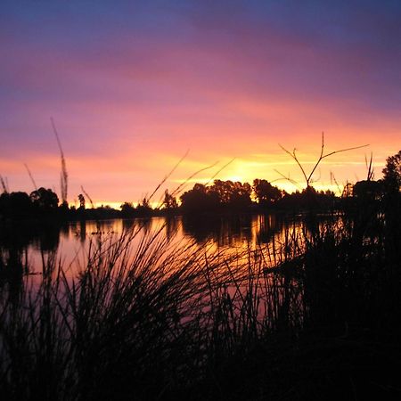 Beechworth Lake Sambell Caravan Park ภายนอก รูปภาพ