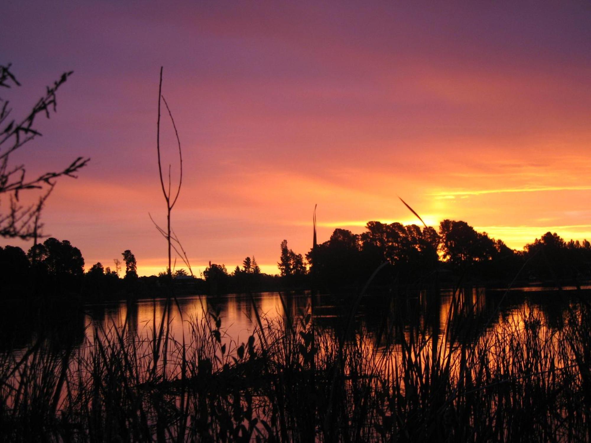 Beechworth Lake Sambell Caravan Park ภายนอก รูปภาพ