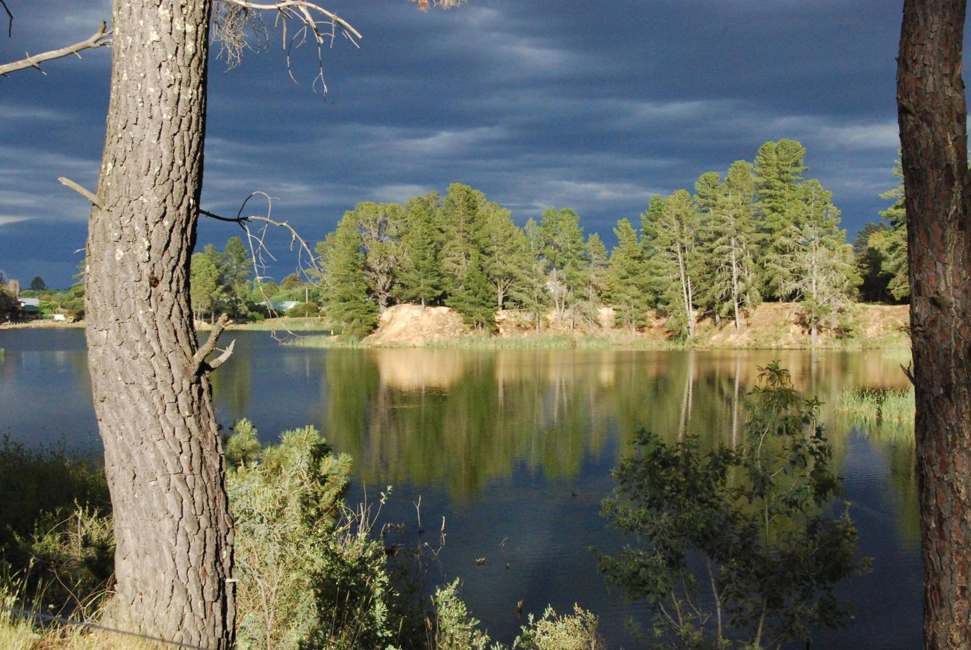Beechworth Lake Sambell Caravan Park ภายนอก รูปภาพ