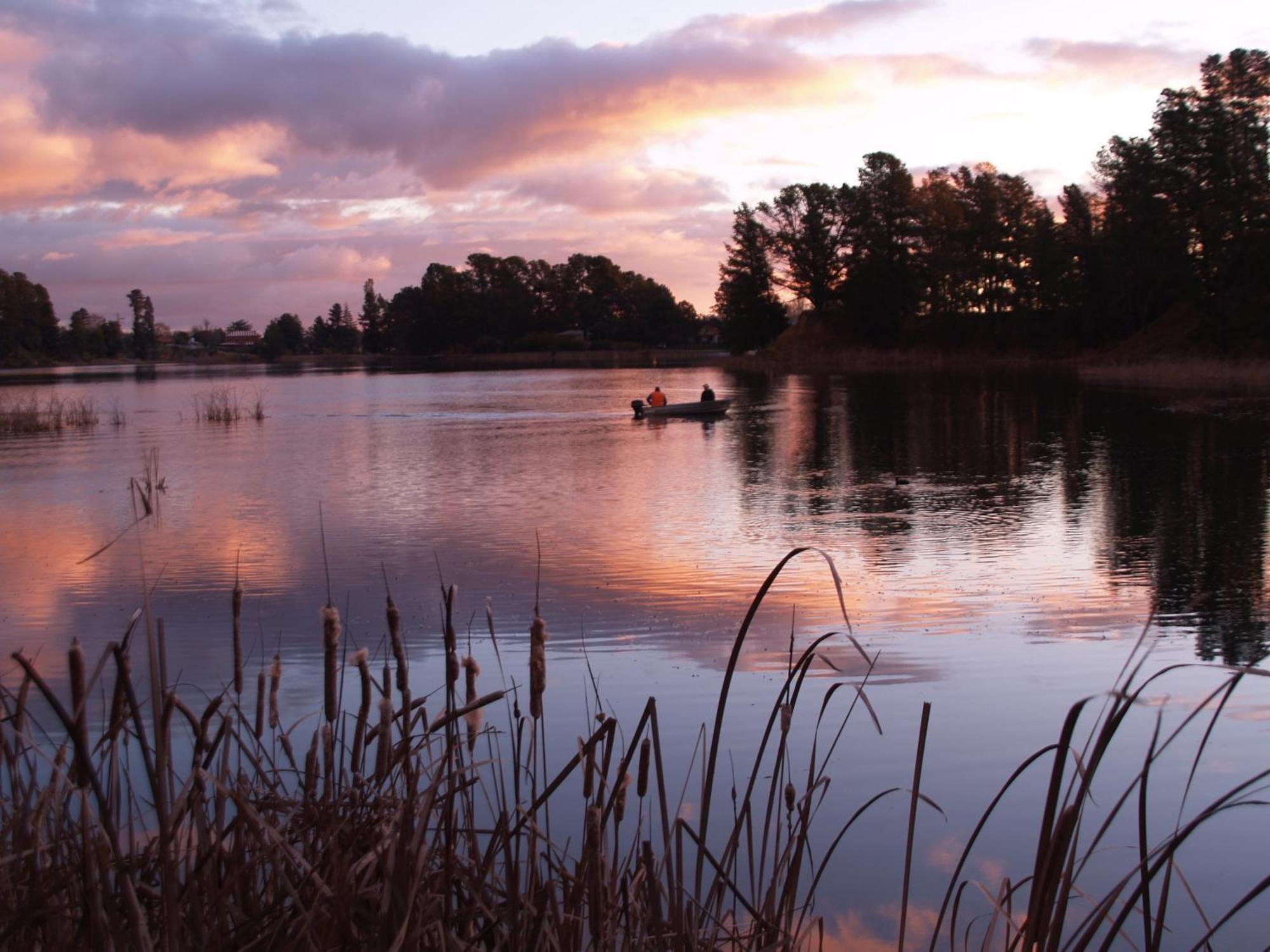 Beechworth Lake Sambell Caravan Park ภายนอก รูปภาพ